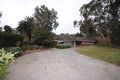 Property photo of 38 Perseverance Road Tea Tree Gully SA 5091