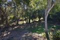 Property photo of 42 Riverbend Drive Canungra QLD 4275