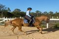 Property photo of 252 Skyring Creek Road Federal QLD 4568