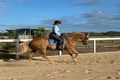 Property photo of 252 Skyring Creek Road Federal QLD 4568