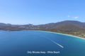 Property photo of 14 Fox Avenue White Beach TAS 7184