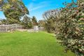 Property photo of 41 Innes Road Manly Vale NSW 2093