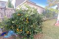 Property photo of 17 Princeton Circuit Auburn NSW 2144