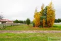 Property photo of 36 Pritchard Street Manjimup WA 6258
