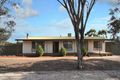 Property photo of 16 Hamilton Street Freeling SA 5372