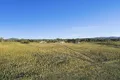 Property photo of 2811 Bylong Valley Way Rylstone NSW 2849