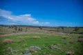 Property photo of 2811 Bylong Valley Way Rylstone NSW 2849