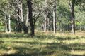 Property photo of 72 Mount Nathan Road Mount Nathan QLD 4211