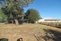 Property photo of 34 Major Street Roma QLD 4455