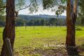 Property photo of 98 Harding Road Macclesfield VIC 3782