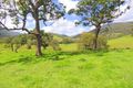 Property photo of 1593 Curricabark Road Dewitt NSW 2422