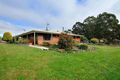 Property photo of 217 Calder Road Wynyard TAS 7325