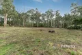 Property photo of 10 Shelly Harris Court Kinglake VIC 3763