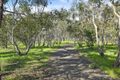 Property photo of 17 Yellowbox Avenue Armstrong Creek VIC 3217