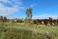 Property photo of 6 Luxton Avenue Gawler East SA 5118