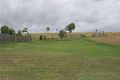 Property photo of 10 Windjammer Circuit River Heads QLD 4655