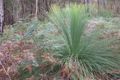 Property photo of 24175 Tasman Highway Beaumaris TAS 7215