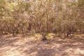 Property photo of 38 Ti Tree Road East Booral QLD 4655