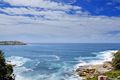 Property photo of 19 Wilga Street Bondi NSW 2026