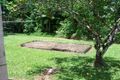 Property photo of 3 Ibis Street Innisfail QLD 4860