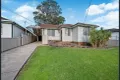 Property photo of 58 Grainger Avenue Mount Pritchard NSW 2170