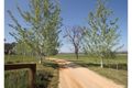 Property photo of 409 Snakes Creek Road Wilbetree NSW 2850