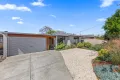 Property photo of 7 Camelia Grove Cheltenham VIC 3192
