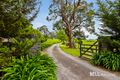 Property photo of 310 Beenak Road Yellingbo VIC 3139