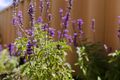 Property photo of 7 Crested Turn Harrisdale WA 6112