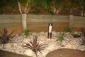 Property photo of 18 Merriman Court Palmwoods QLD 4555