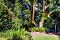 Property photo of 179 Flaxton Drive Mapleton QLD 4560