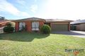 Property photo of 155 Dandelion Drive Rowville VIC 3178