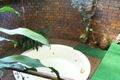Property photo of 1/12 St Albans Way West Haven NSW 2443