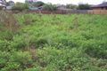 Property photo of 80 Princes Highway Hallam VIC 3803