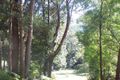 Property photo of 5671 Tweed Valley Way Crabbes Creek NSW 2483