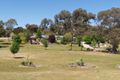 Property photo of 145D White Hut Road Stanley Flat SA 5453