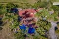 Property photo of 19 Hessen Place Ringtail Creek QLD 4565