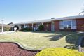 Property photo of 43 Cork Road Gawler East SA 5118