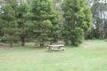 Property photo of 11 Old Mill Road Barwon Downs VIC 3243
