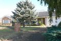 Property photo of 67 Stonehaven Avenue Dubbo NSW 2830