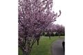 Property photo of 4 Beatrix Drive Craigmore SA 5114