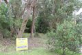 Property photo of 7 Cuddlepie Place Faulconbridge NSW 2776