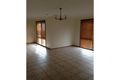 Property photo of 57 Thomas Mitchell Drive Endeavour Hills VIC 3802