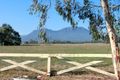 Property photo of 37 Southam Drive Taggerty VIC 3714