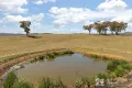 Property photo of 365 Erudgere Lane Erudgere NSW 2850