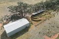Property photo of 871 Mid Western Highway West Wyalong NSW 2671