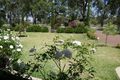 Property photo of 81 Learmouth Turn Byford WA 6122