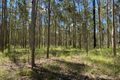Property photo of 1916 Myall Creek Road West Bungawalbin NSW 2471