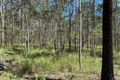 Property photo of 1916 Myall Creek Road West Bungawalbin NSW 2471