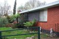 Property photo of 5-7 Armstrong Street Buchan VIC 3885